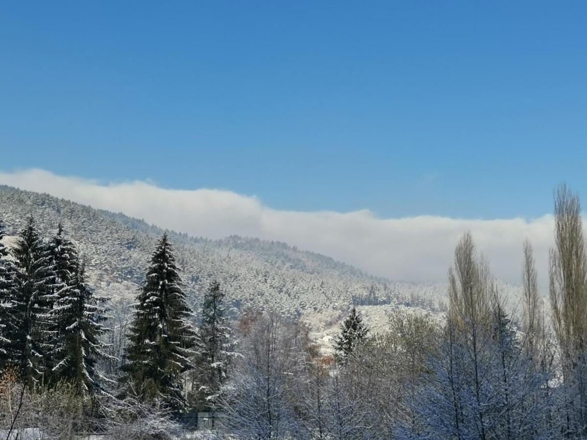Арт Мезонет Salem Lägenhet Velingrad Exteriör bild